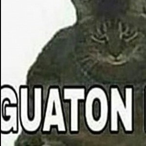 kaka de  