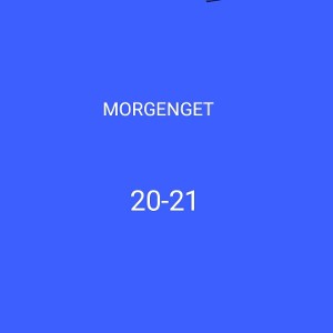 MORGENJET- тигр репа (альбом Merin )