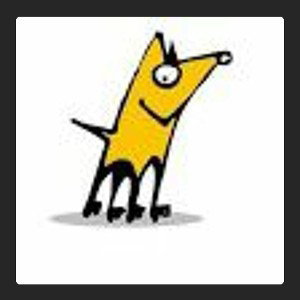 Amir Mrt | Yellow Dog
