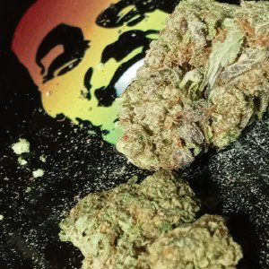 👁⚠🔥10 POUND TOWN🔥⚠👁
