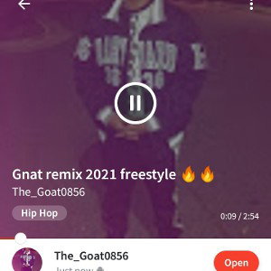 The_Goat0856 - Gnat remix 2021👶 (baby Quan Diss) 🔥🔥