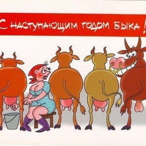 Sevril - NовоGодняя