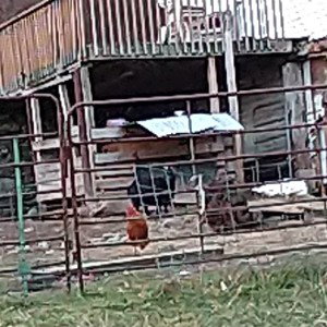funny farmer bill