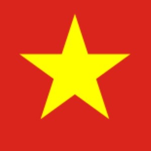 IceD- 🇻🇳Demo Vietnamese's Song🇻🇳