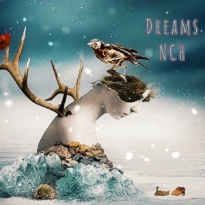 Dreams