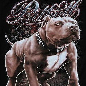 Dawg Pound Anthem Demo Hook Only
