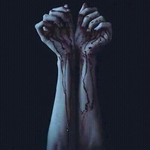 "Vida entre cortes"