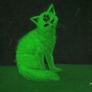 Бездомный кот