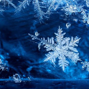 SNOW