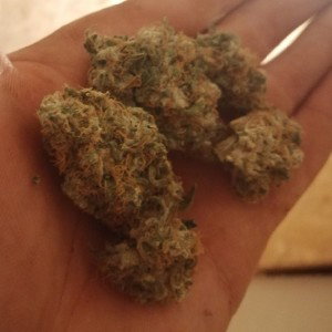 J€$U$ - Marijana (Marihuana) (Demo - no mix, no master, pure voice, one take) 