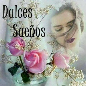 2 Cuerpos