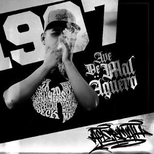 Rdo-Ave De Mal Äguero