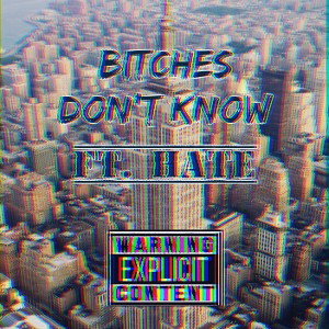B!tches dont know ft. Hate_