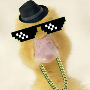 ITS DJ DUCK YA YA 