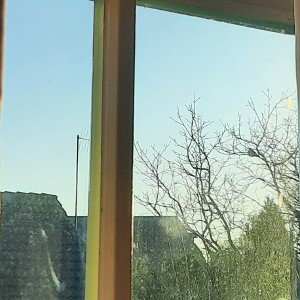 Jak