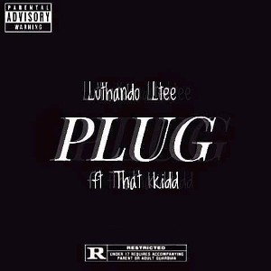 plug