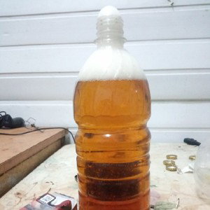 пивас