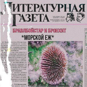 полночь на перевале а.к.а морской ЁЖ