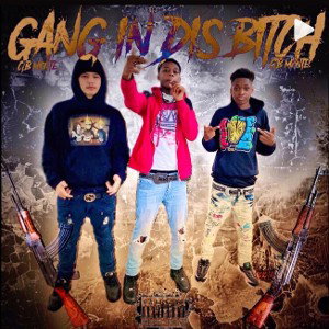 Gang in This Bitch 