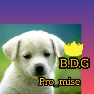 BDG (pro_mise)