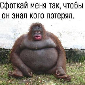ИСТОРИЯ ЛЮБВИ