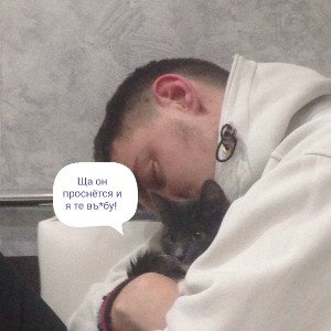Львица