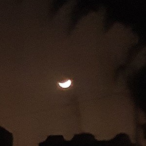 blue moon demo