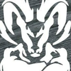 Ram4life 