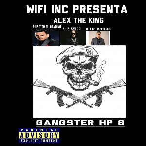 Gangster HP 6