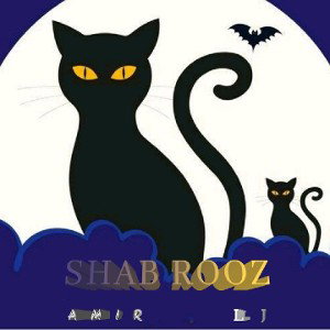 SHAB ROOZ(Amir l.j)