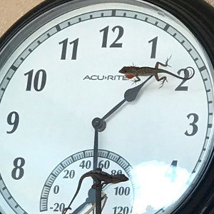 TikTok@JeSuSaveSOulS (10:56)