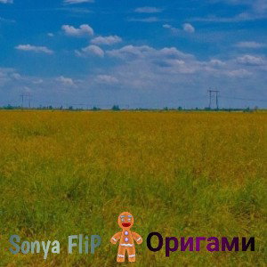 Sonya FliP - Оригами