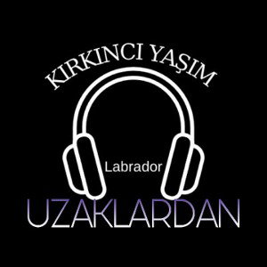 Labrador-UZAKLARDAN