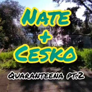 Quarantenaa pt2 - NATE & CESKODITESTA