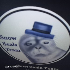 Hooghouden de Zeehonden (SnowSeals)