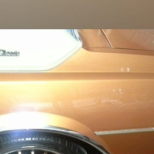 Bentley in a 9