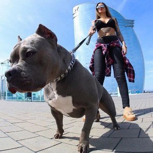 "О Себе"
