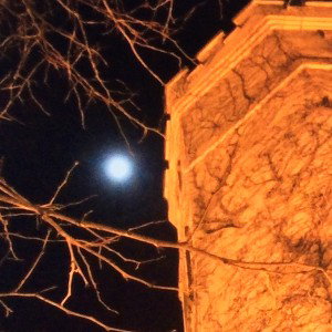 NoWill (20:26)