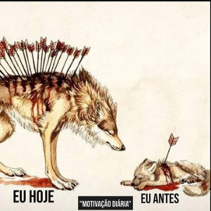 jota fique esperto #sjcrap