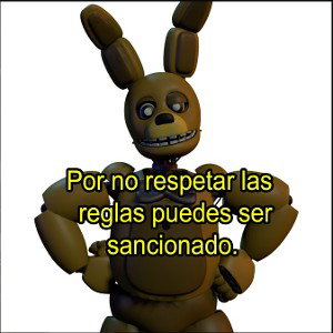 el trapbd