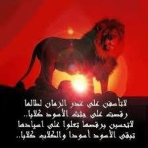 العز العز العز L3eez