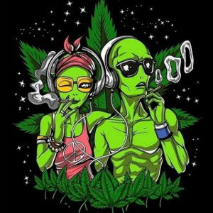 DUMB×THRAX