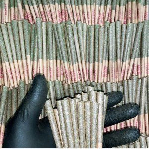 A Bela e a Erva 🚬 🔞 áudio_prévia 