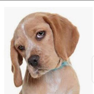 Old Style 🤑🤑
