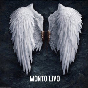 MONTO LIVO