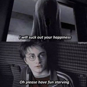 fin