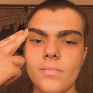 Freestyle 