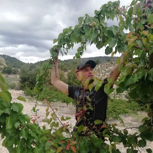 LA PLANTA HERIDA
