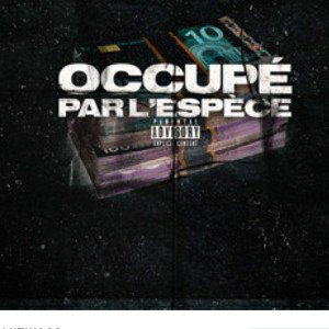 taille dor occupé par l'espèce 