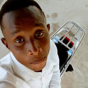 inno boi